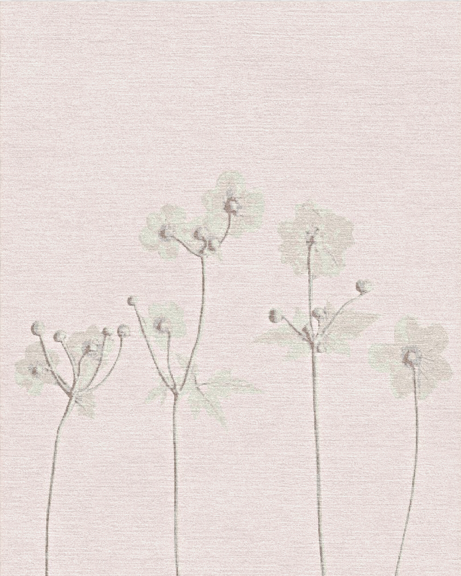Small Buds