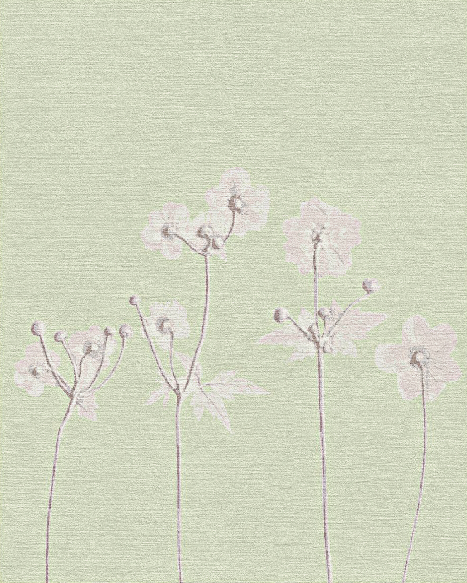 Small Buds
