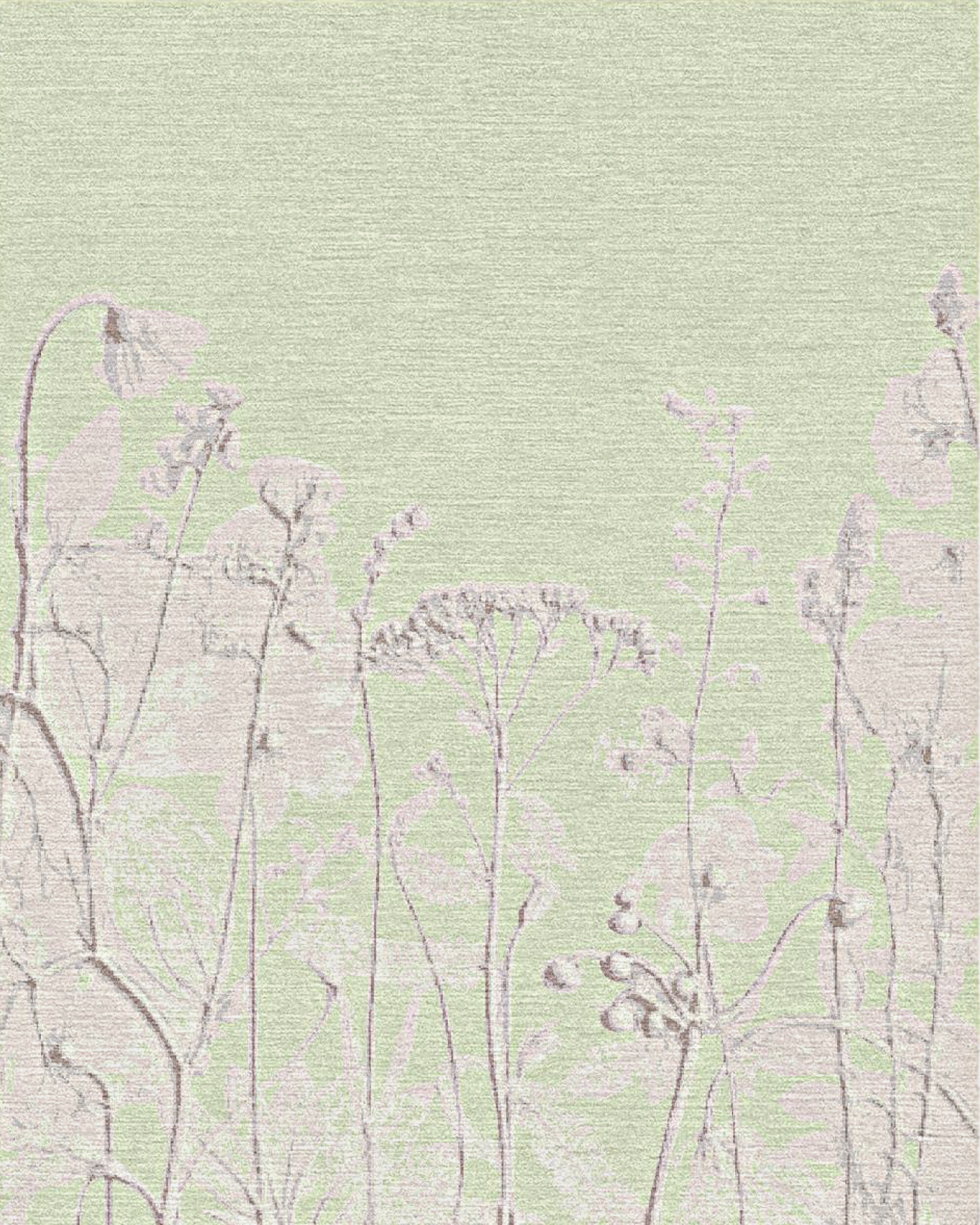 Meadow