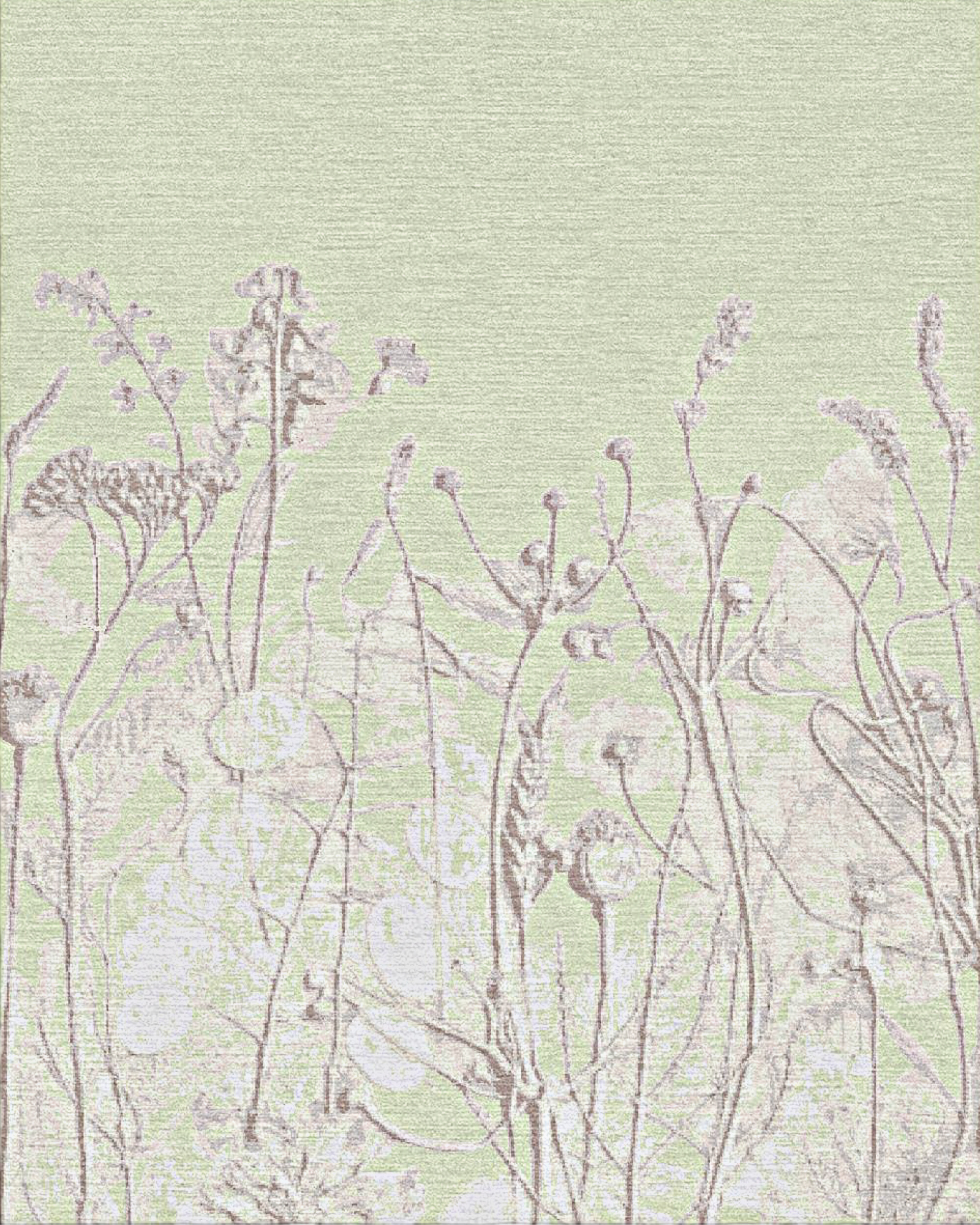 Field
