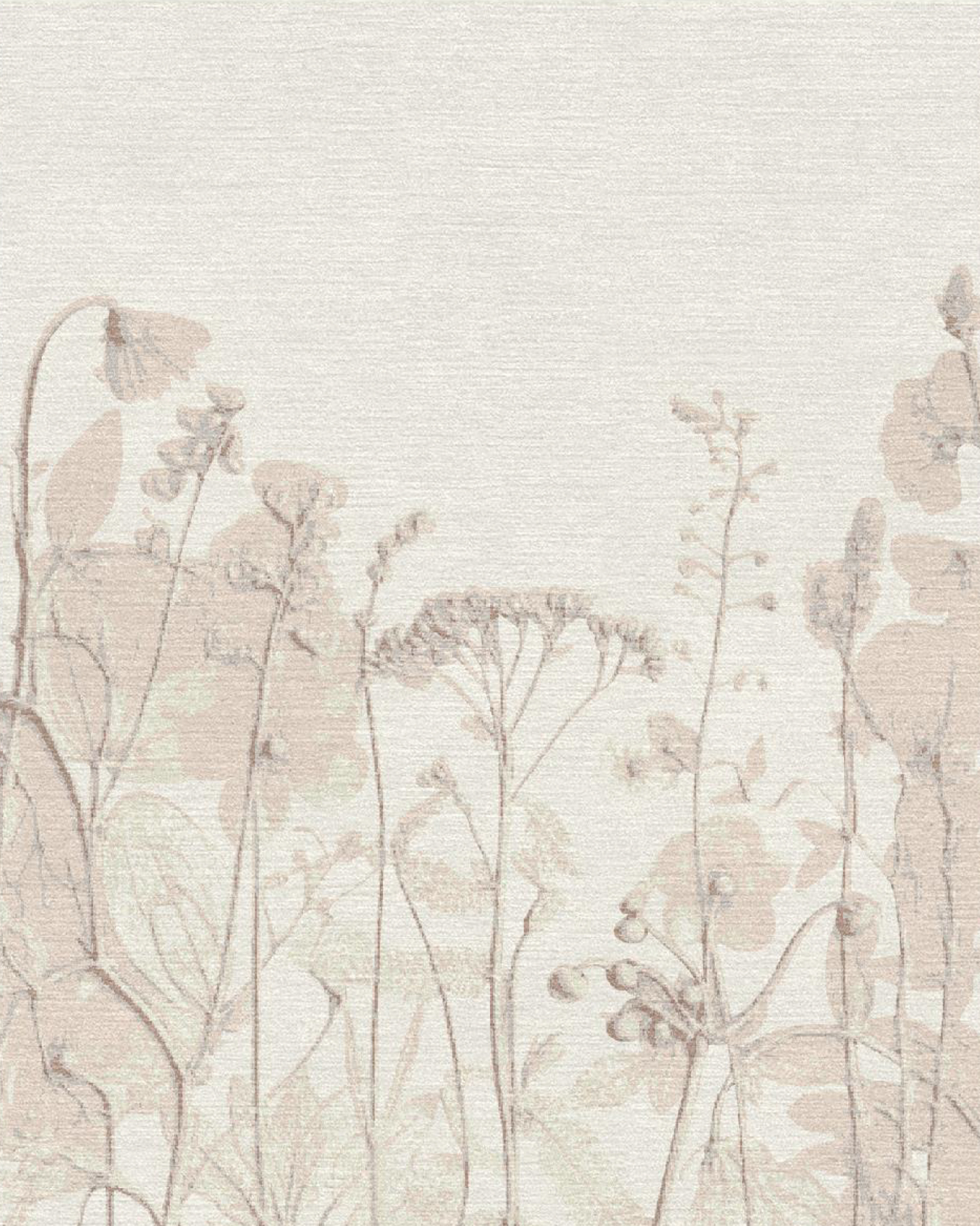 Meadow