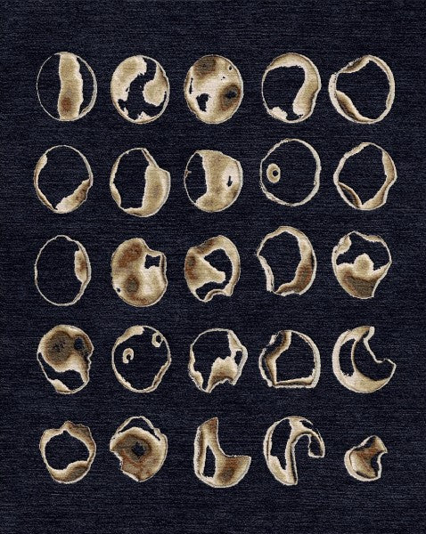Moons