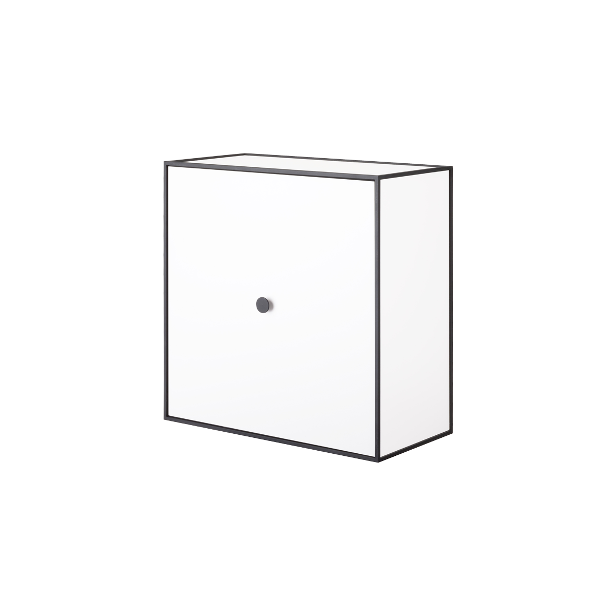 Frame 42 with door - 8x17x17/ White