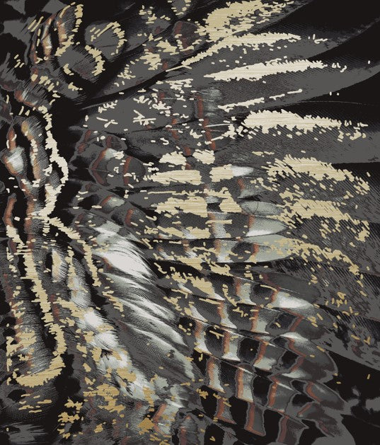 Feather Concept 3
