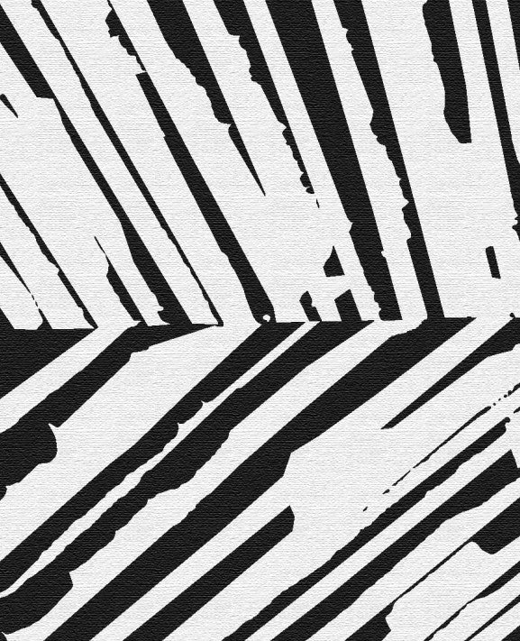 Design 4 (Black & White)