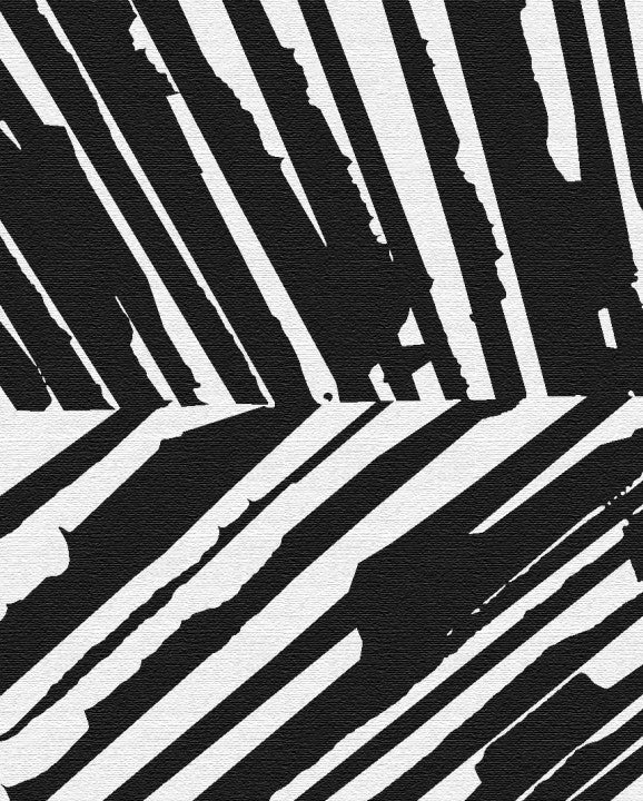 Design 4 (White & Black)