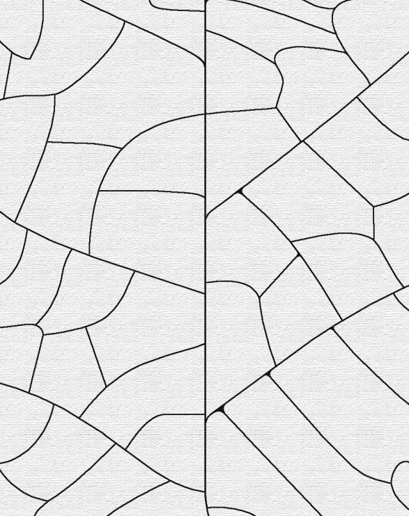 Vein (White & Black)