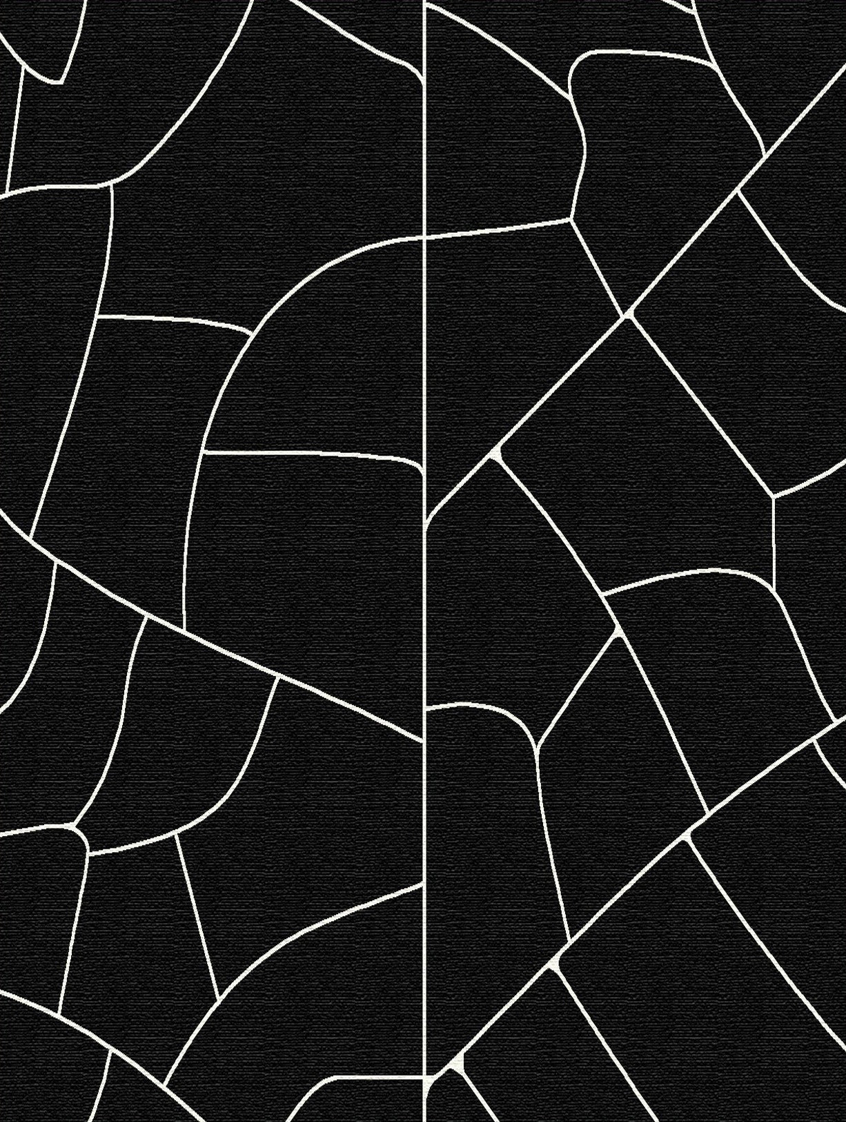 Vein (Black & White)