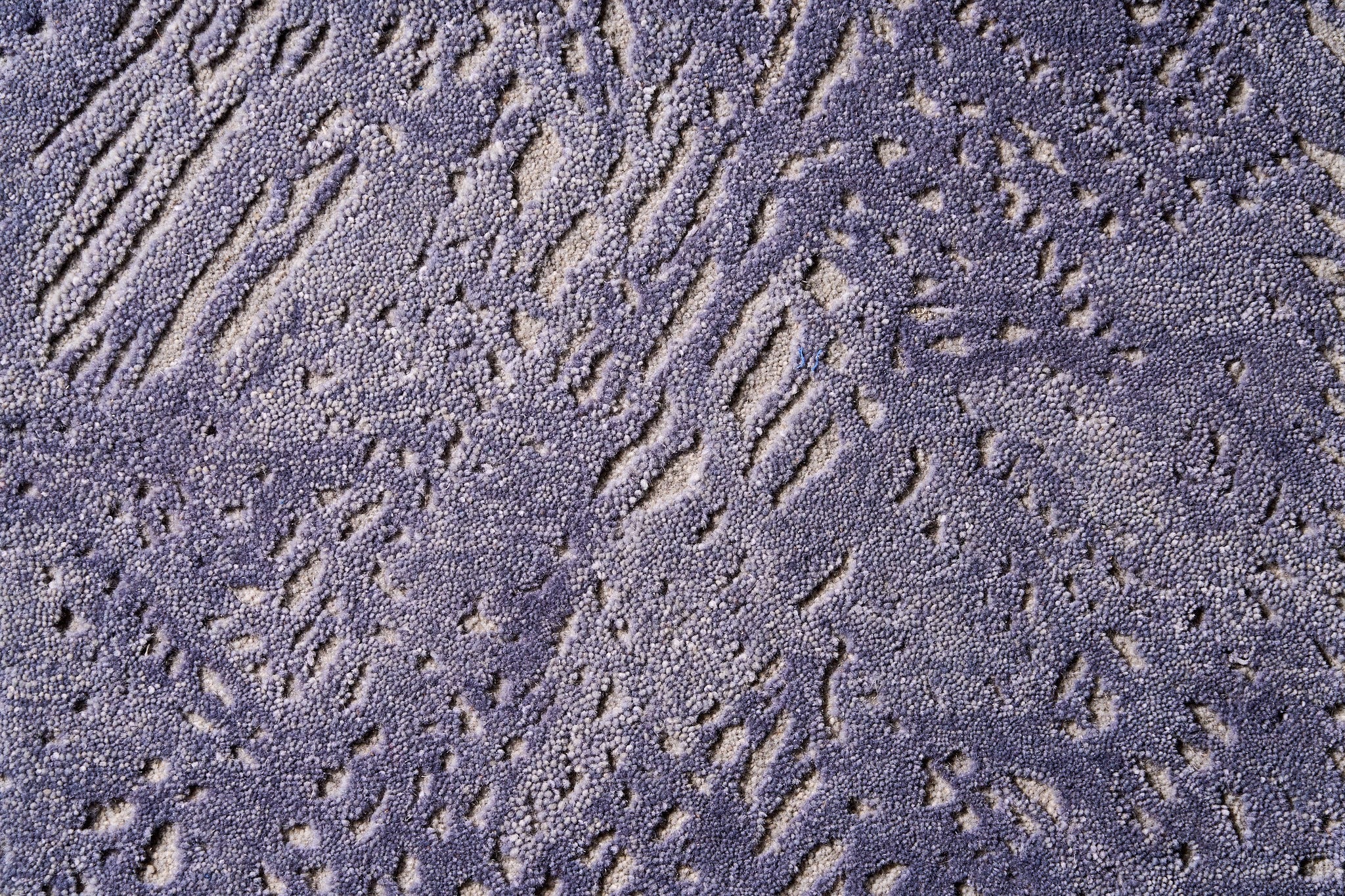 Averra
