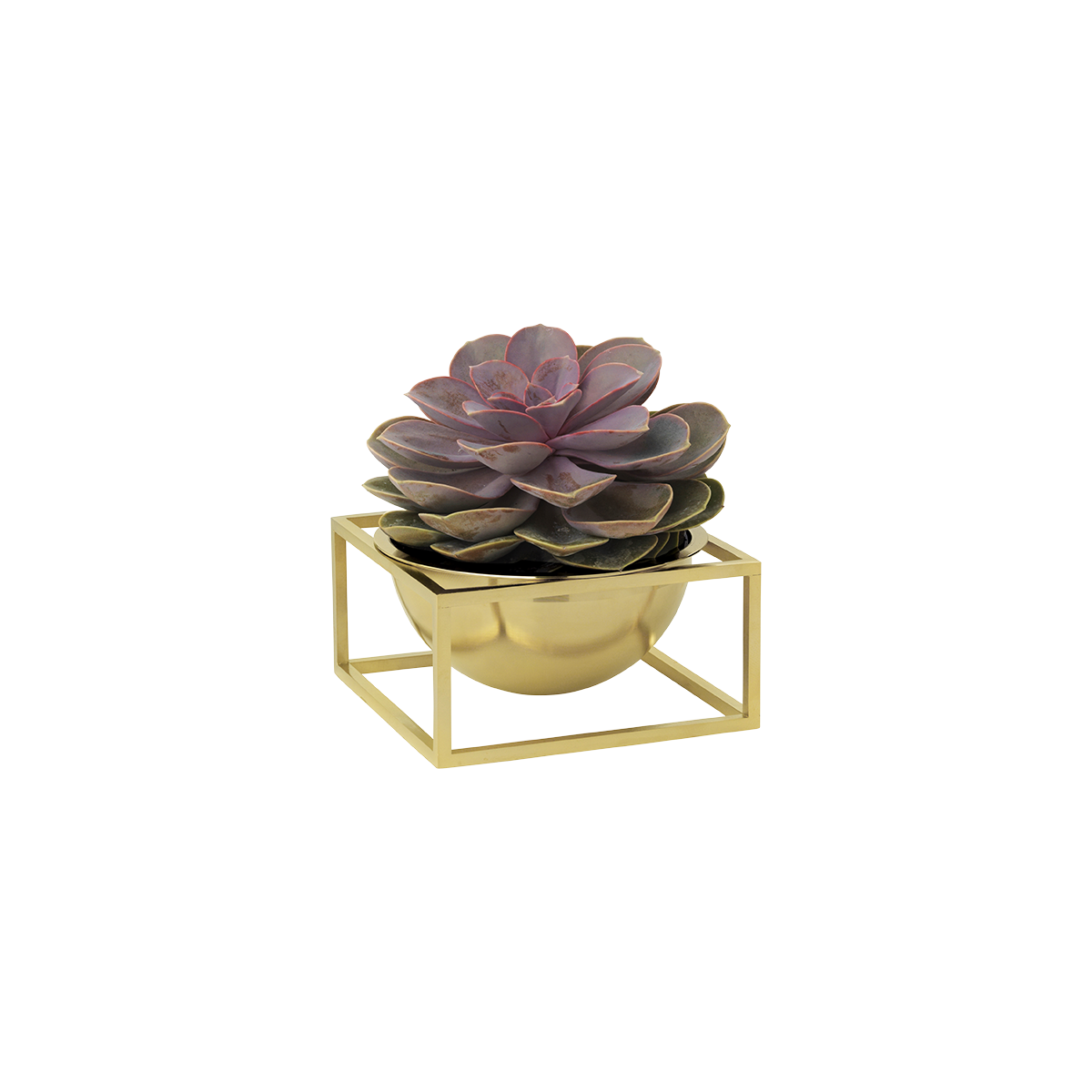 Bowl centerpiece - Small Brass