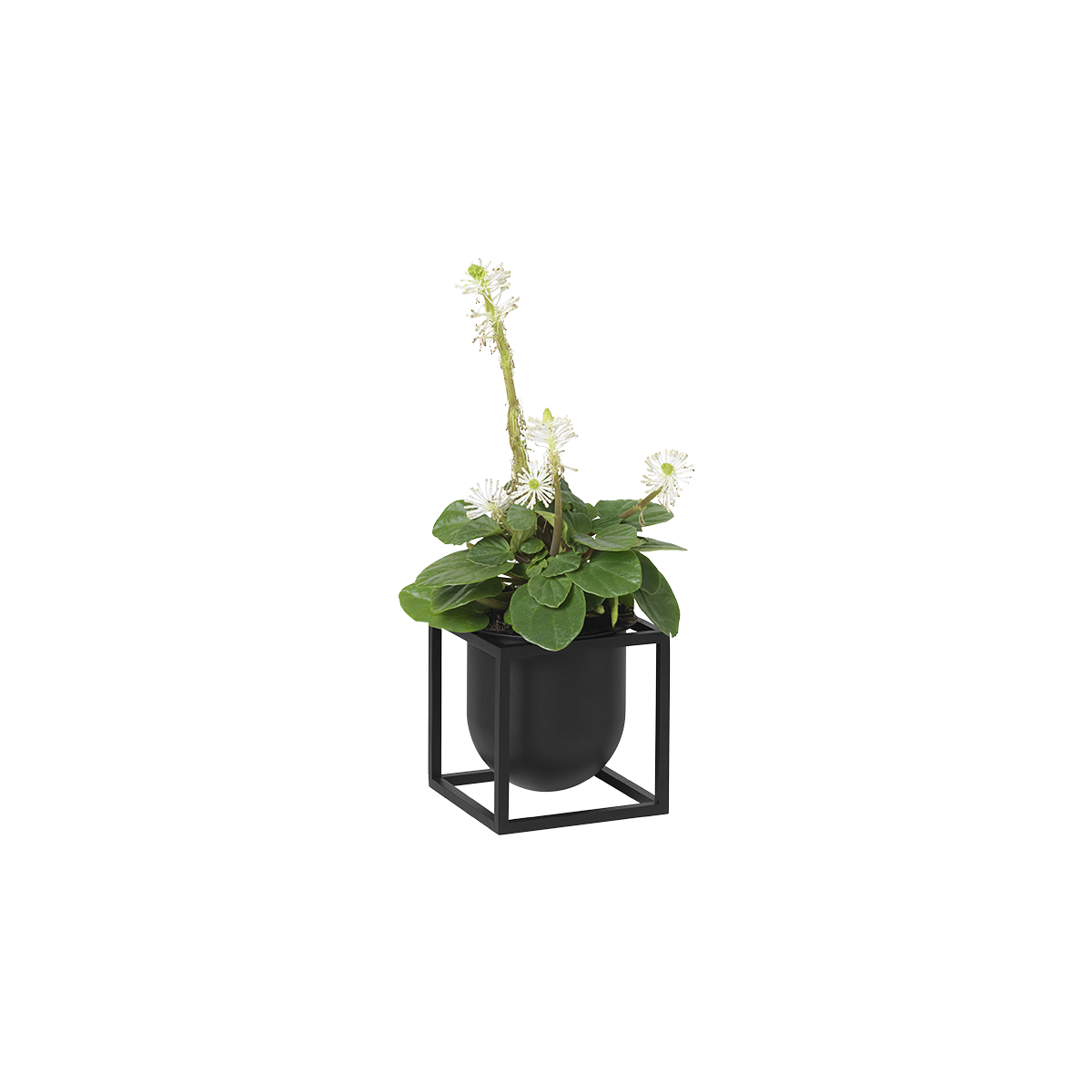 Kubus Flowerpot 10 - Black