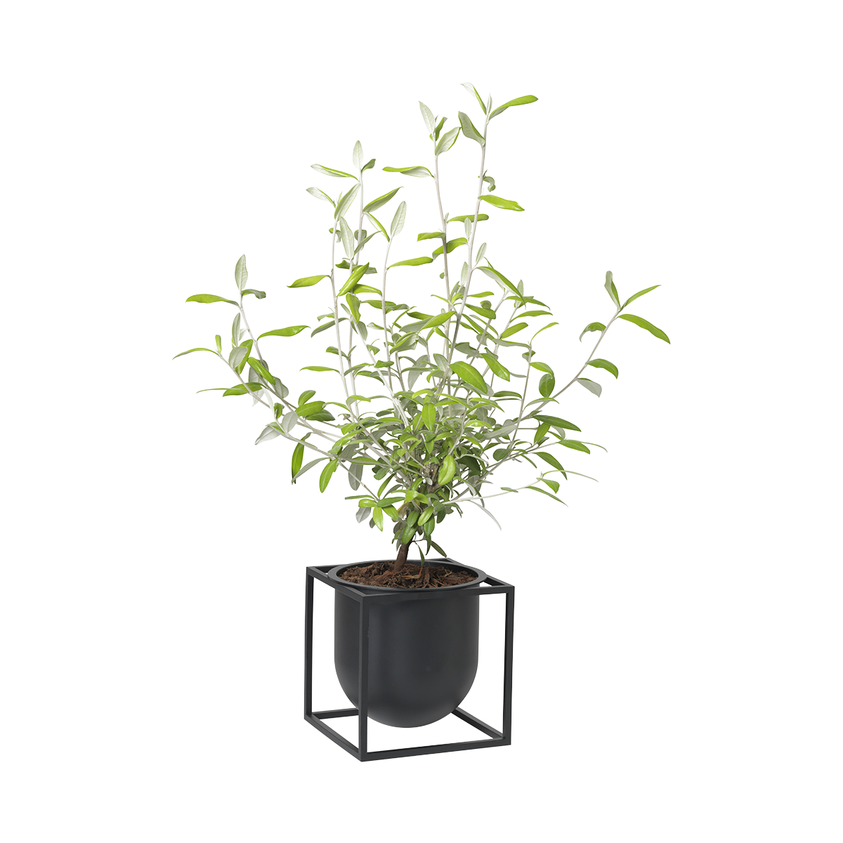 Kubus Flowerpot 14 - Black