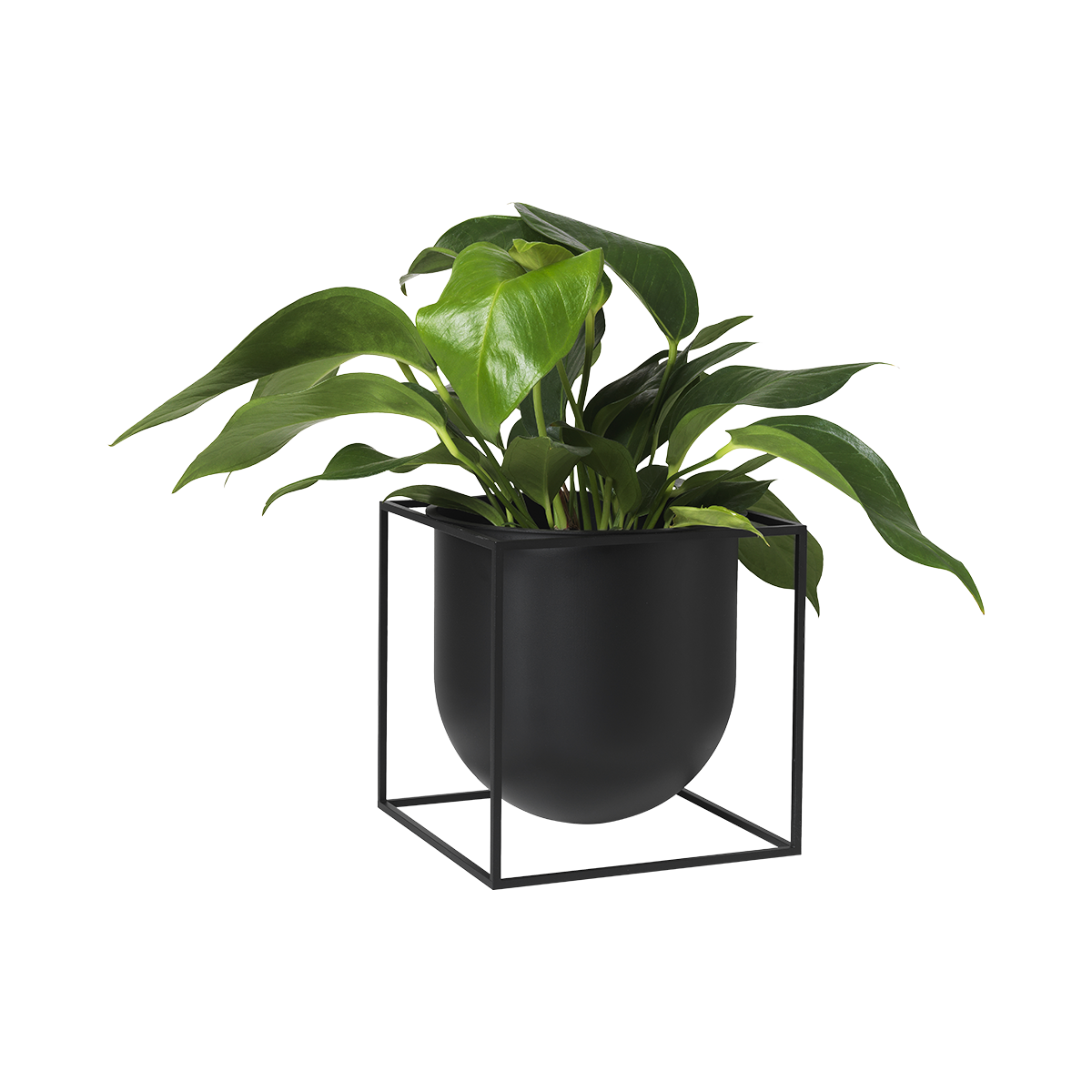 Kubus Flowerpot 23 - Black