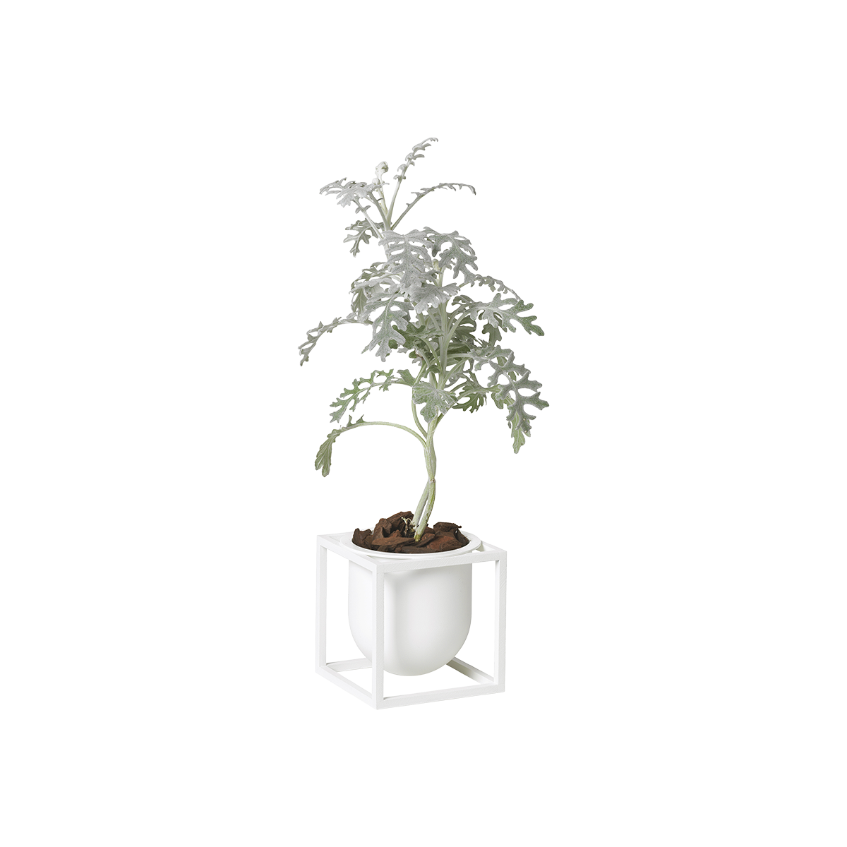 Kubus Flowerpot 10 - White